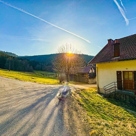 Chalet Cosy Lisiere De Foret Xonrupt-Longemer Esterno foto