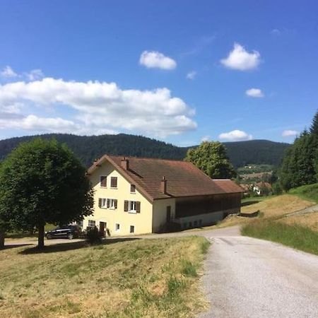 Chalet Cosy Lisiere De Foret Xonrupt-Longemer Esterno foto
