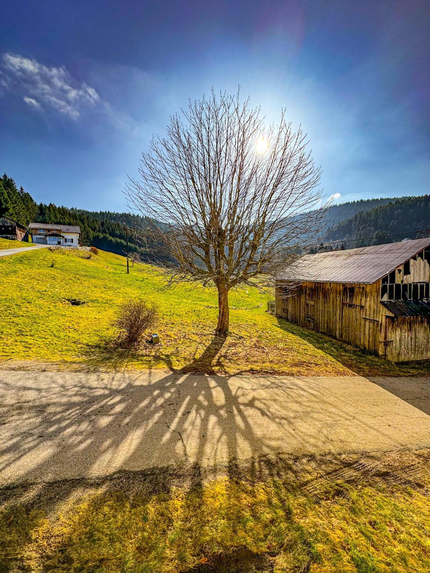 Chalet Cosy Lisiere De Foret Xonrupt-Longemer Esterno foto