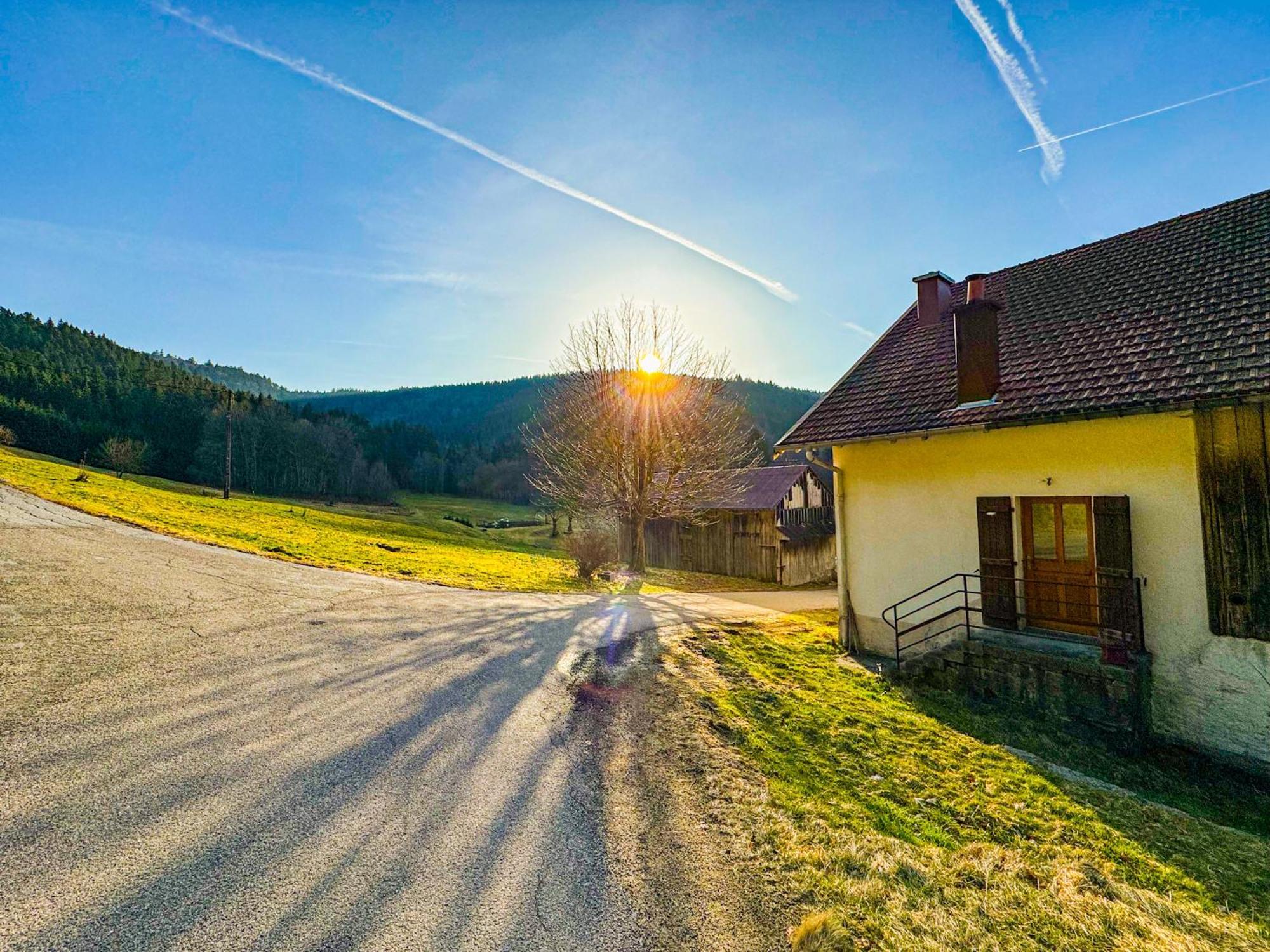 Chalet Cosy Lisiere De Foret Xonrupt-Longemer Esterno foto