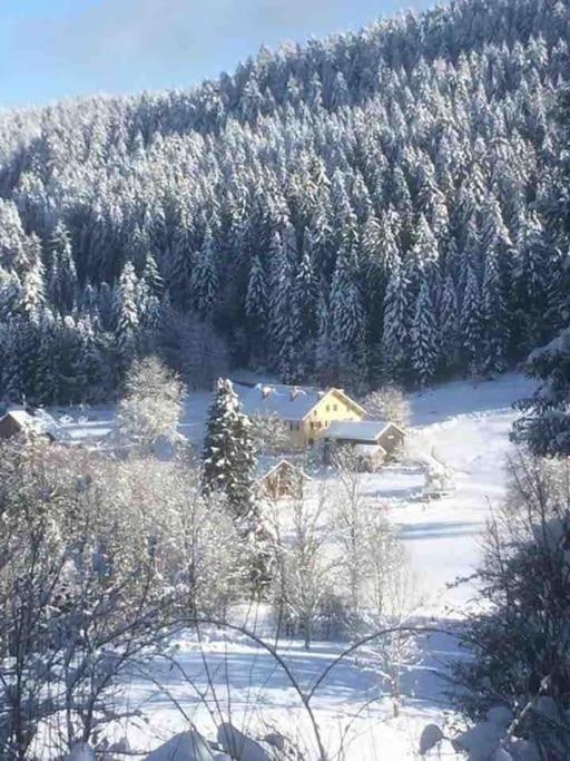 Chalet Cosy Lisiere De Foret Xonrupt-Longemer Esterno foto