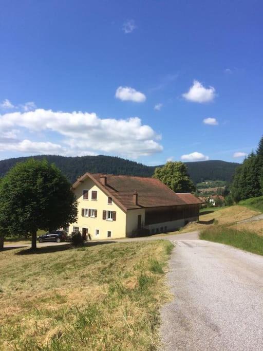 Chalet Cosy Lisiere De Foret Xonrupt-Longemer Esterno foto