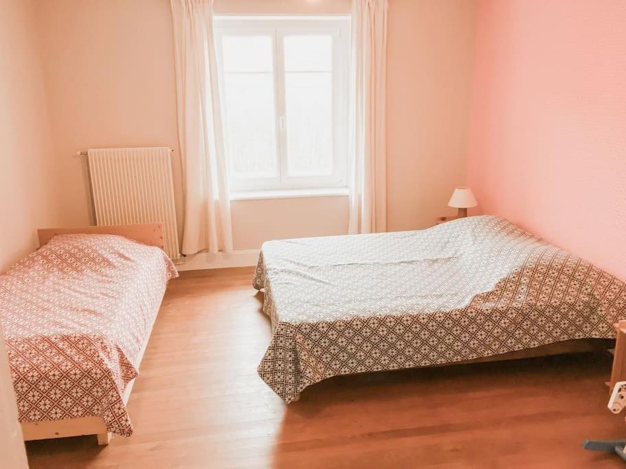 Chalet Cosy Lisiere De Foret Xonrupt-Longemer Esterno foto
