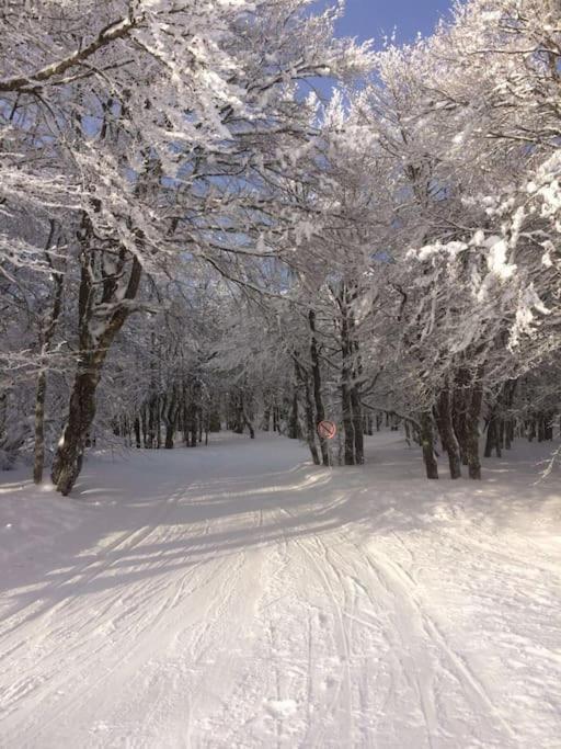 Chalet Cosy Lisiere De Foret Xonrupt-Longemer Esterno foto